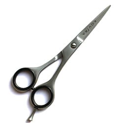 10 Best Hair Cutting Shears Reviews Buying Guide 2019