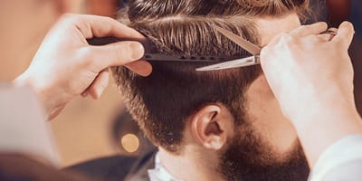 10 Best Hair Cutting Shears Reviews Buying Guide 2019